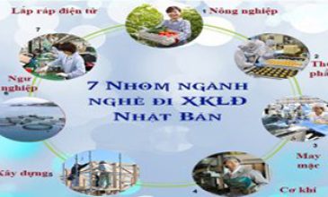 7 nhóm ngành nghề phổ biến đi làm việc ở Nhật Bản
