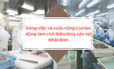 Tìm hiểu công việc chế biến thủy sản tại Nhật Bản